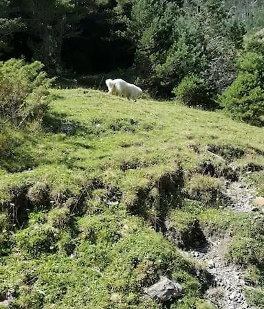 Saint Lary Soulan Pied Des Pistes Du Plat D Adet