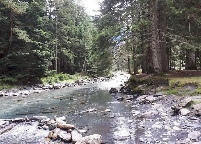 Saint Lary Soulan Pied Des Pistes Du Plat D Adet